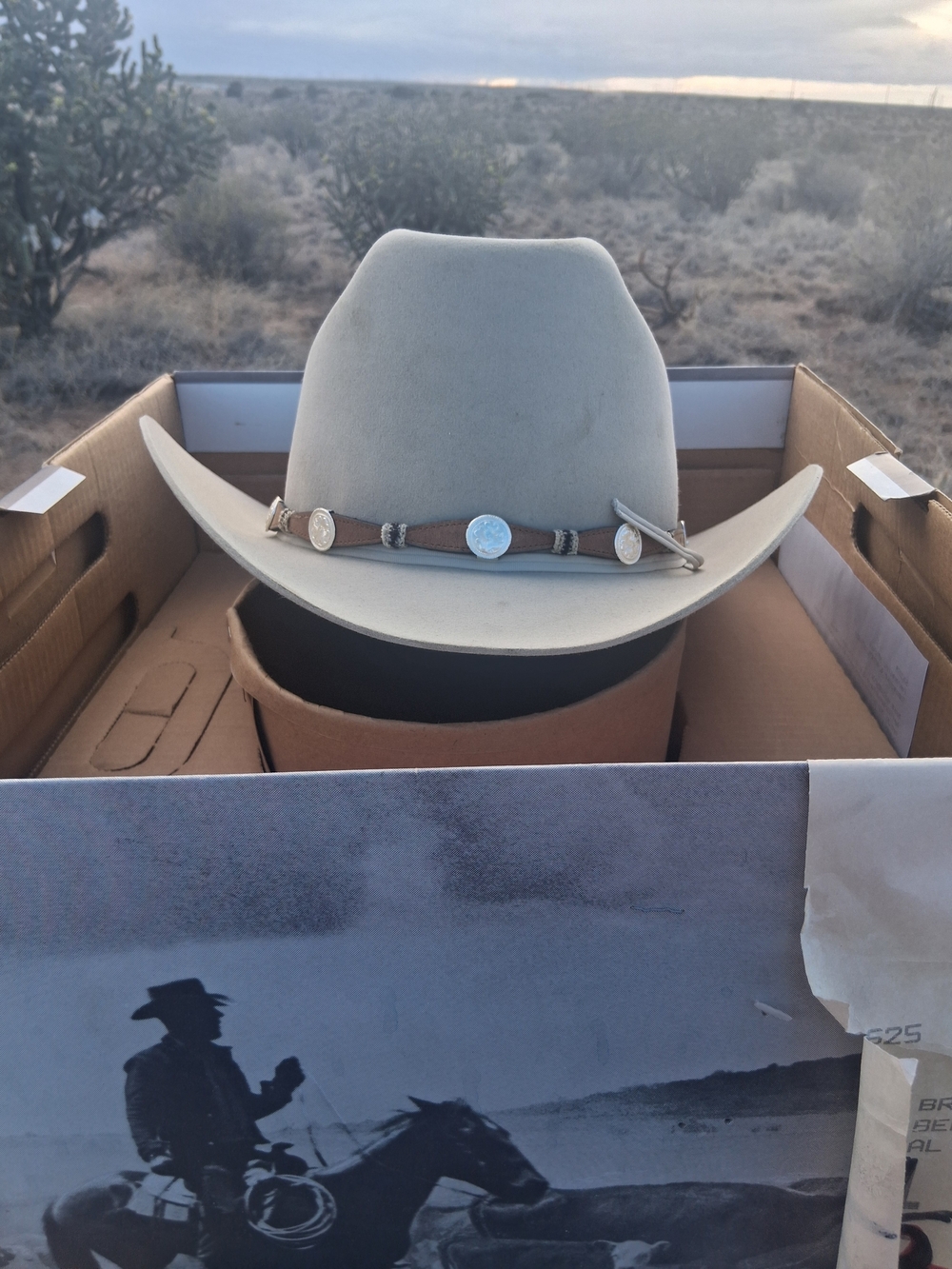 Stetson Light Gray Felt Cowboy Hat with Concho Band